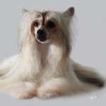 IMG_4774_cacedited