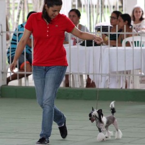 IMG_3166_edited